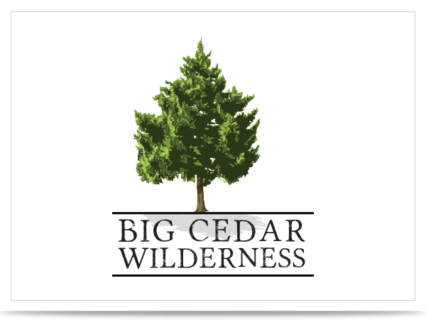 Studio RM - Big Cedar Logo